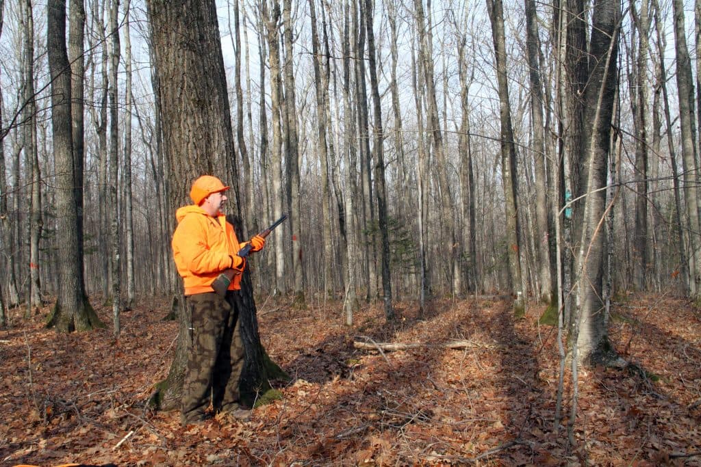 hunter-in-woods-image