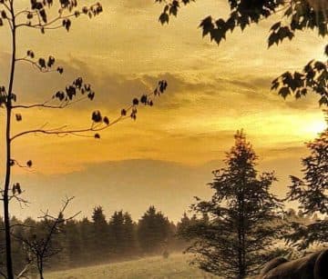 Tips and Strategies to Prepare for Deer Season