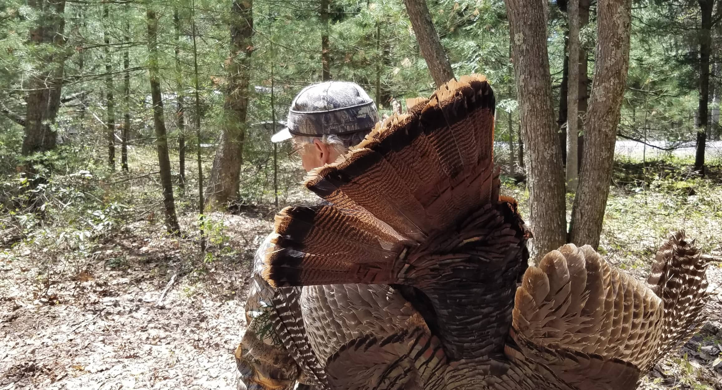 spring turkey hunting tips