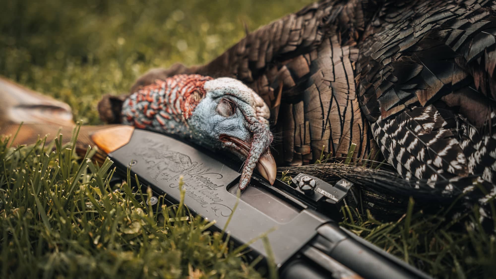 Shotgun Turkey Loads