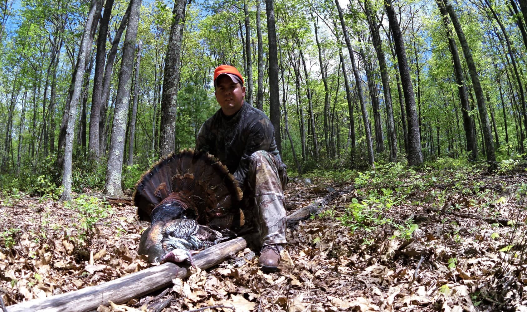 turkey hunting tips