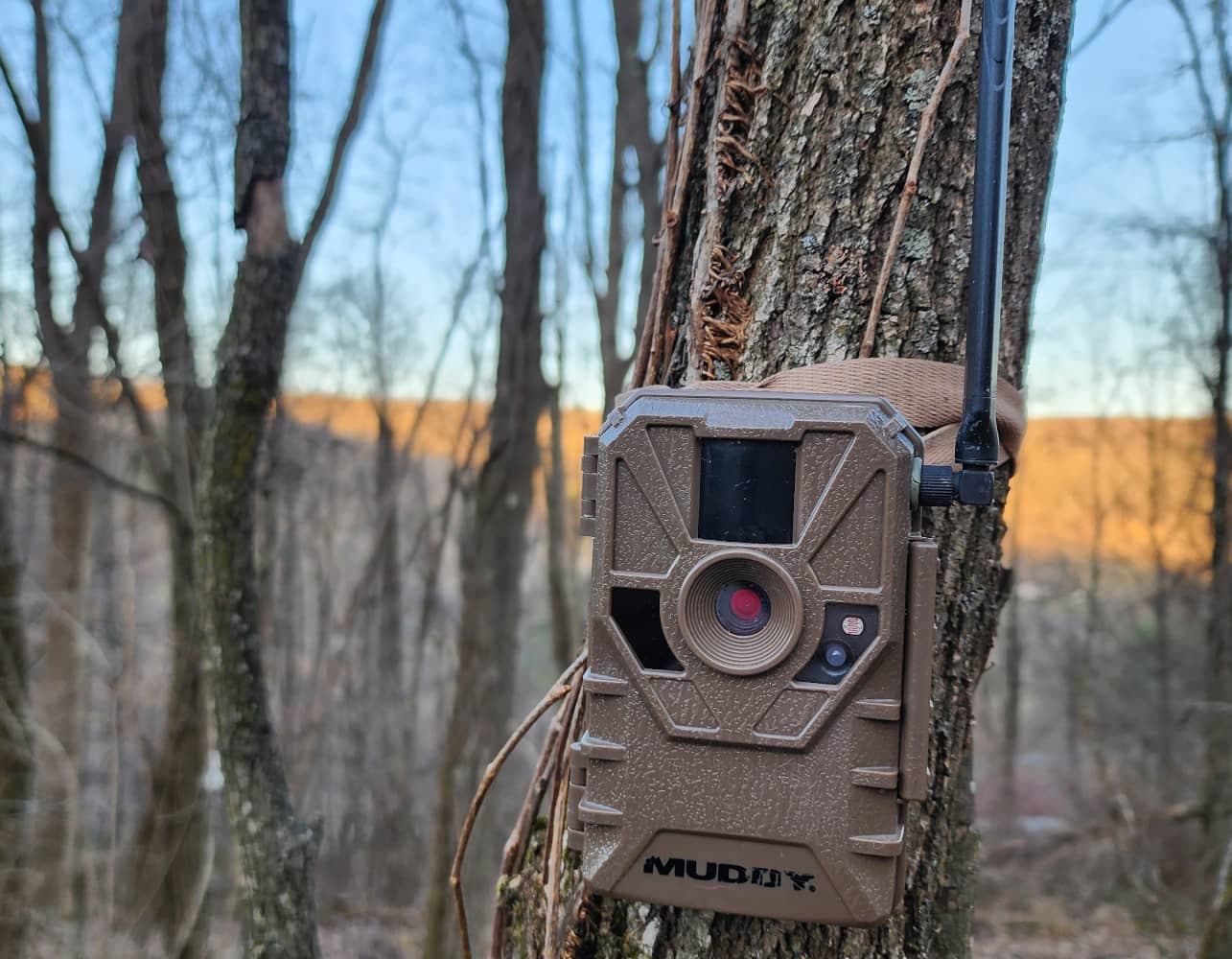 trail camera strategies