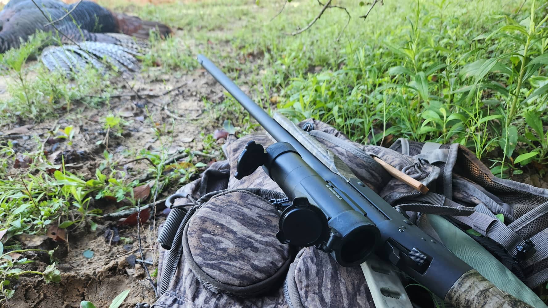 turkey calling strategies