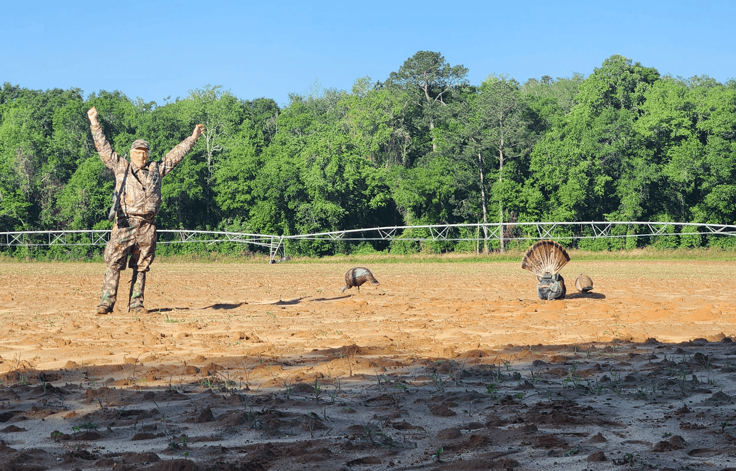 ultimate turkey hunting predictor